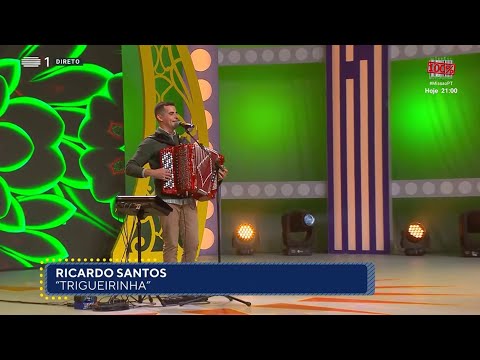 Ricardo Santos - Trigueirinha