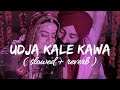 Udja Kale Kawan (Slowed + Reverb) | Gadar | Victory | Lofi Song