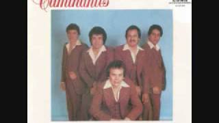 los caminantes el caballo blanco_0001.wmv