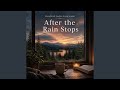 After the Rain Stops