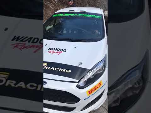 Test Ford Fiesta Gass Racing