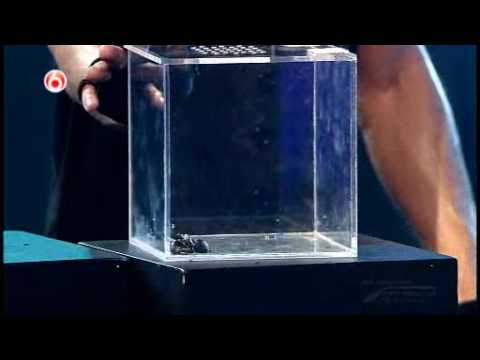 De Nieuwe Uri Geller: Nuno - deel 1 (finale)