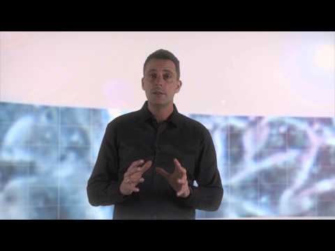 Primary Cilia - the cells' ultimate antennae