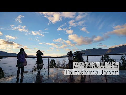 幻想の朝を彩る雲の海/吾橋雲海展望台　Viewing Deck of Awashi [Sea of Clouds]