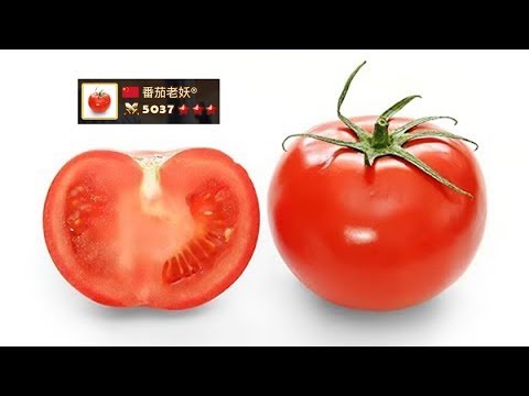 Rank 4 Tomato's Last Day in RTA Season 9 - Summoners War