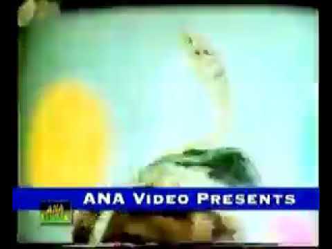 nachdi di gut khul gai (anjuman)