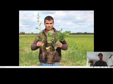 Improving Soil Health with Cover Crops— Zsombor Dirici (HU)