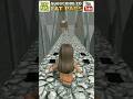 The Dungeon Obby Escape