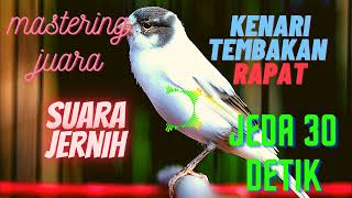 Download lagu masteran kenari paud tembakan rapat mp3 Download lagu masteran kenari paud tembakan rapat mp3