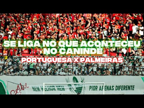 Party in the stands! Portuguesa vs. Palmeiras. São Paulo State Championship 2026