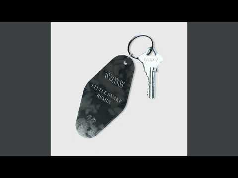 Cerdin - Push (Little Snake Remix)