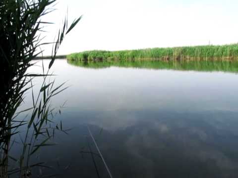 Balta Livedea 3 - balta de caras