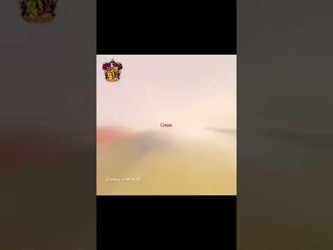 🦁Gryffindor🦁 VS 🐍Slytherin🐍 - Its Goin Down