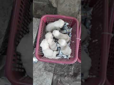 Sangamesh . Walikar . From ... Solapur ... contact number 9404606540...8806784181