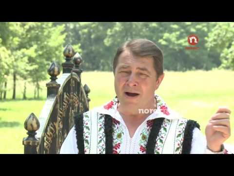 Ion Sili - Mamă   floare în fereastră