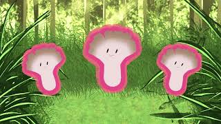 SHIMA - MAITAKE (Official Lyric Video)