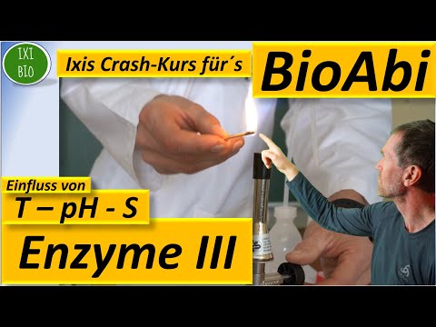 Enzyme 3: Anwendungsaufgaben: Beeinflussung d.Enzymaktivität Temp., pH-Wert, Substratkonz.+Begründen