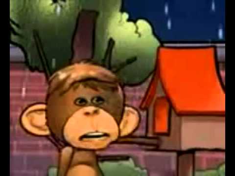 Video chistoso   polo polo   el chango y el pajaro para celulares tambien    www misterdj tk chistes