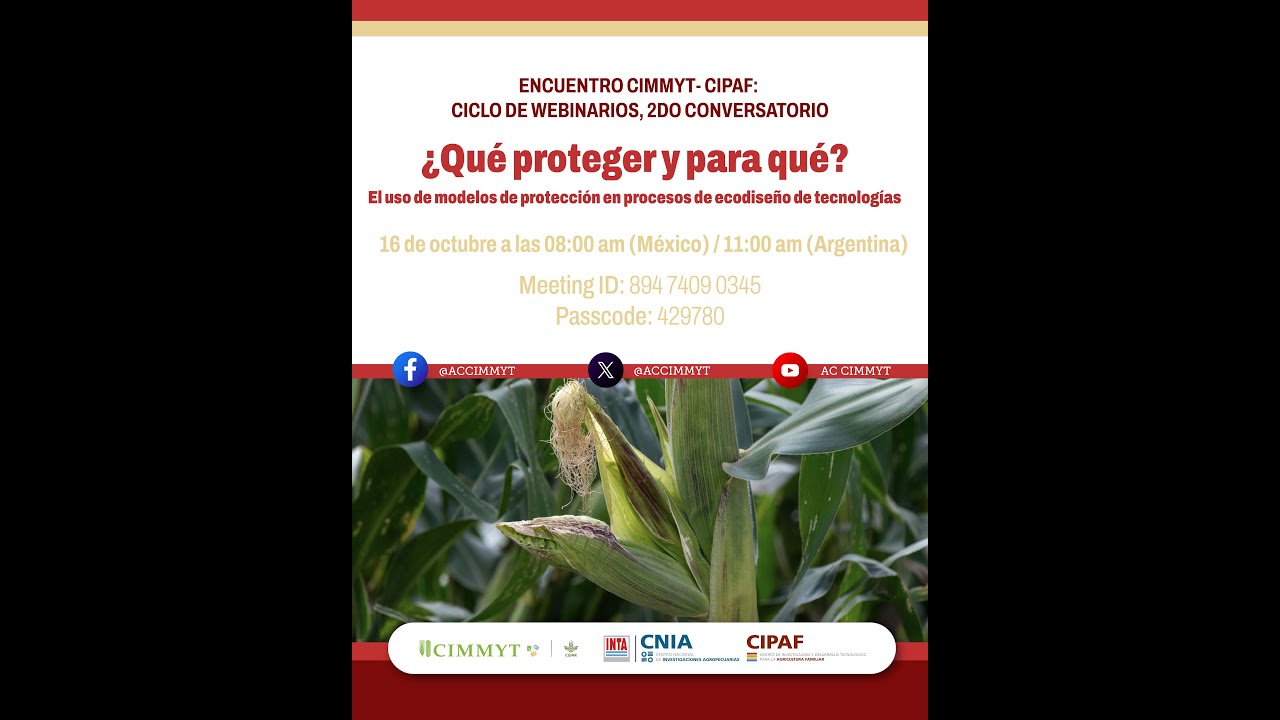 Encuentro CIMMYT CIPAF-INTA: ciclo de webinarios 2do conversatorio