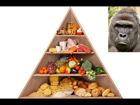 High Carb Low Fat Overfeeding & Bulking Without Fat Gain?