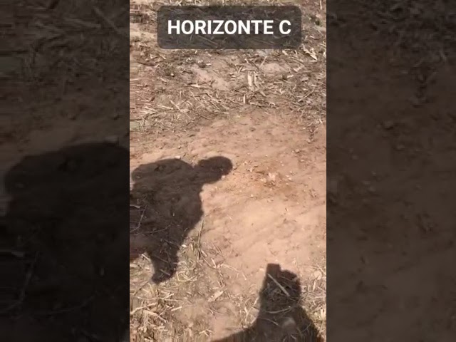 Vídeo relacionado con CLIP SELFIE - LENTE ANCHO - Ampliar sus horizontes