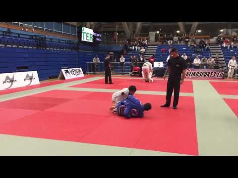Muujig Altantugs vs Tarik Hopstock - FINAL - IBJJF London Fall Open 2015 - Purple Adult - Open