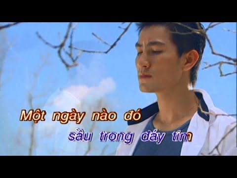 Chỉ tại vô tình - Nguyễn Phi Hùng
