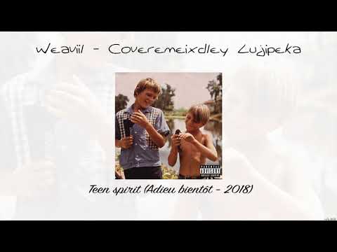Weaviil - Coveremeixdley Lujipeka