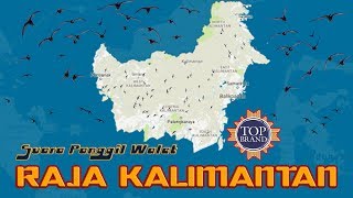 Download lagu Suara Walet PANGGIL RAJA KALIMANTAN Rajanya Suara Respon Walet Ternama mp3 Download lagu Suara Walet PANGGIL RAJA KALIMANTAN Rajanya Suara Respon Walet Ternama mp3