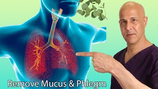 1 Herb CLEARS UP Mucus & Phlegm in Sinus, Chest, and Lungs | Dr. Mandell