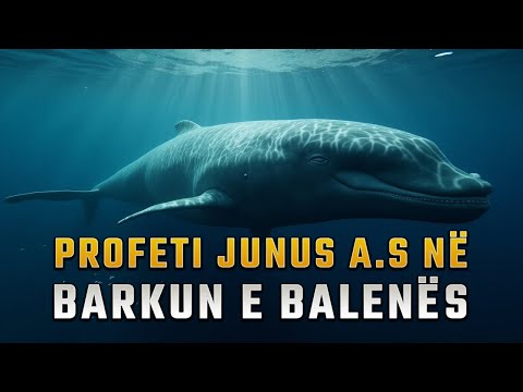 Historia e Profetit Junus a.s - Profeti ne Barkun e Balenës
