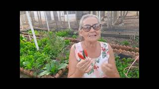 10 beneficio da pimenta dedo de moça