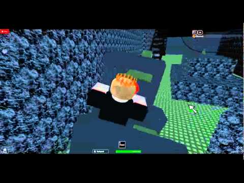 Roller Coaster - The Haunted Mansion