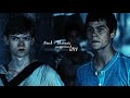Newt + Thomas | Lights Down Low