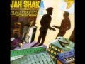 Jah Shaka & Mad Professor - Almighty Dub