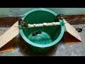 The Rolling Log Mouse Trap In Action | bucket mouse trap using pvc pipe | Stupid Mouse Trap