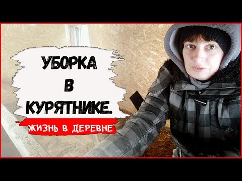 Уборка в курятнике. Подстилка из опилок. Жизнь в деревне.