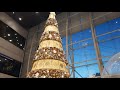 Robinsons Magnolia Christmass Tree