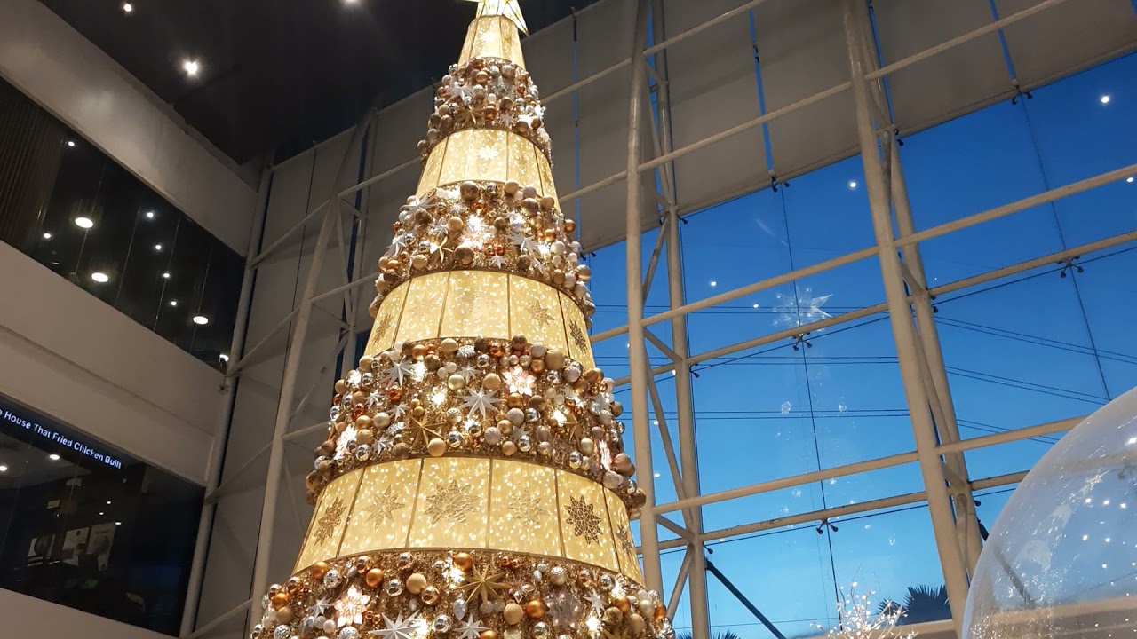 Robinsons Magnolia Christmass Tree