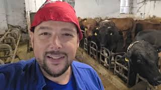 Ich hab mein Stall umgebaut