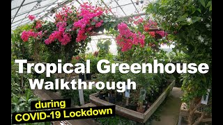 Tropical Greenhouse Walkthrough during COVID-19 Lockdown