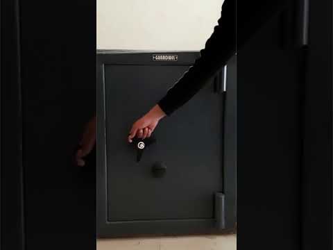 Guardwel Small Safe