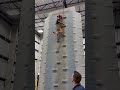 K9 Climbs the Wall to Reach the Bell