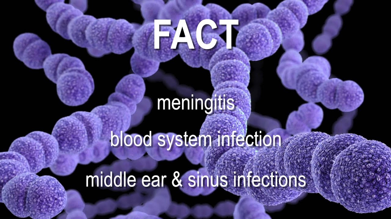 Pneumonia Fact File 2015 HD