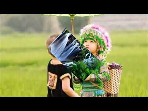 Nkauj muam nraug nug tsi txawj sib hlub