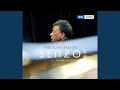 'Senzo' - Contours And Time