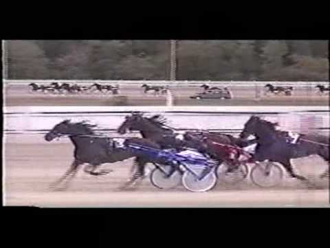 Marschall Joszef Emlekverseny