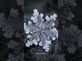 ️ ️ Giant Snowflake Alert The Enormous Snowfall Record In Montana Snowflake Snowfallrecords