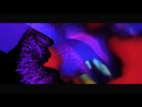 The Experimental Tropic Blues Band - "Roots & Roses"