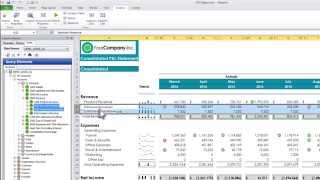Workday Adaptive Planning Video